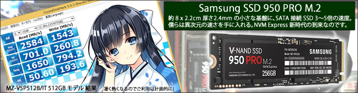 SASMUSNG SSD 950PRO M.2 OLIO